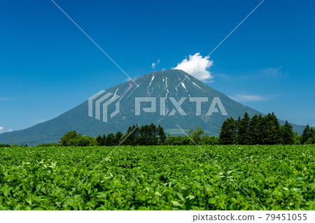 Scenery of Mt. Yotei in early summer in Hokkaido 79451055