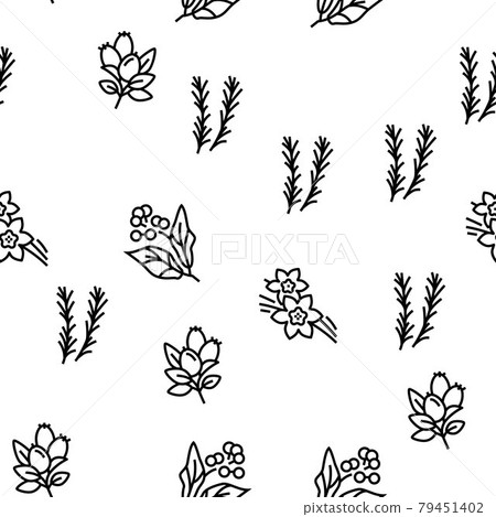 Aromatherapy Herbs Vector Seamless Pattern Aromatherapy Herbs Vector Seamless Pattern 79451402