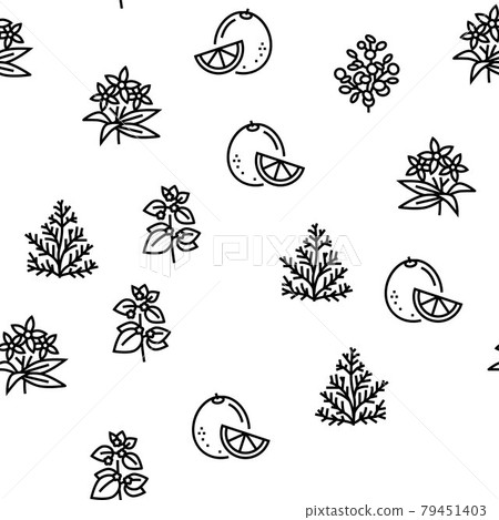 Aromatherapy Herbs Vector Seamless Pattern Aromatherapy Herbs Vector Seamless Pattern 79451403