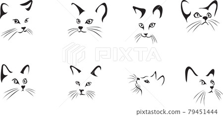 cat, portrait, graphic image cat, portrait, graphic image 79451444