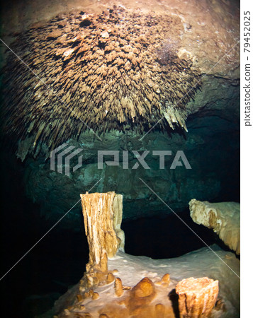 Stalagmites in the Underwater Cave (Cenote) (Playa del Carmen, Mexico) 79452025