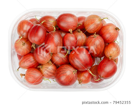 Red gooseberries in a plastic container. Fresh and ripe berries, fruits of Ribes uva-crispa, also European gooseberry, with a sourish sweet taste. Close-up from above, isolated over white, food photo. Red gooseberries in a plastic container. Fresh and ripe berries, fruits of Ribes uva-crispa, also European gooseberry, with a sourish sweet taste. Close-up from above, isolated over white, food photo. 79452355