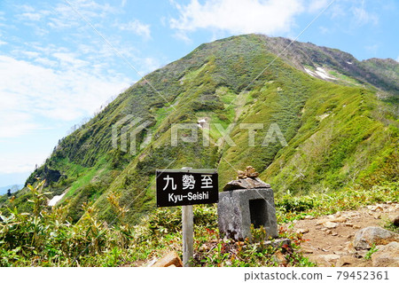 高津山 高津山 79452361