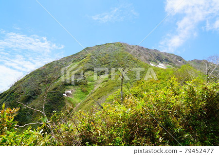 從九生附近看到的高津山 從九生附近看到的高津山 79452477