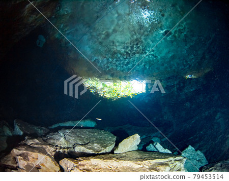 仰望從水中通向水下石灰岩洞穴外部的垂直洞(Cenote)(墨西哥普拉亞德爾卡門) 仰望從水中通向水下石灰岩洞穴外部的垂直洞(Cenote)(墨西哥普拉亞德爾卡門) 79453514