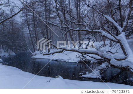 Oku-Nikko in the snow, Yukawa Oku-Nikko in the snow, Yukawa 79453871