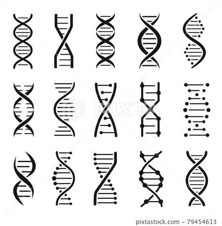 Dna molecule structure icons. Chromosome chain helix, genetic code logo. Biotechnology, medical science, gene strand silhouette icon vector set Dna molecule structure icons. Chromosome chain helix, genetic code logo. Biotechnology, medical science, gene strand silhouette icon vector set 79454613