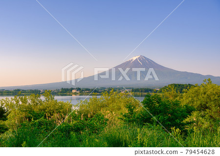 (山梨縣) 晨光中的富士山和碧綠的河口湖 79454628
