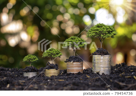 Coins and trees are planted on piles of coins for finance and banking. Ideas to save money and increase finances 79454736