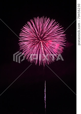 [Fireworks image] Peony. Pink peony launch fireworks. 79456230