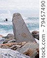 Strange stones on the seaside 79457490