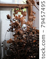 Dry plant decorations in cafe interior 79457495