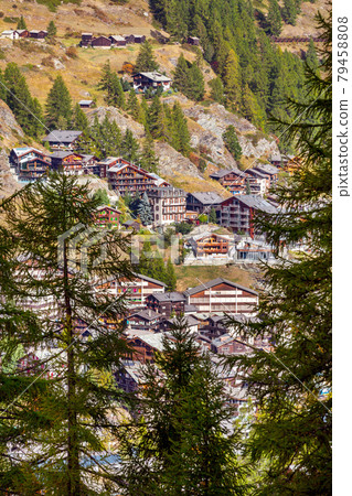 Alpine village, pine woods, Switzerland, Zermatt 79458808