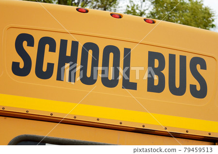 School Bus Back end 79459513