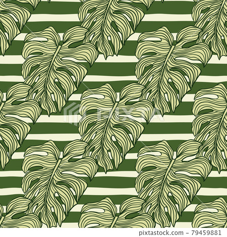 Geometric monstera leaf seamless pattern on stripes background. Modern tropical leaves philodendron plant silhouette backdrop. Geometric monstera leaf seamless pattern on stripes background. Modern tropical leaves philodendron plant silhouette backdrop. 79459881