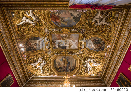 interiors of Palazzo Pitti, Florence, Italy 79460920