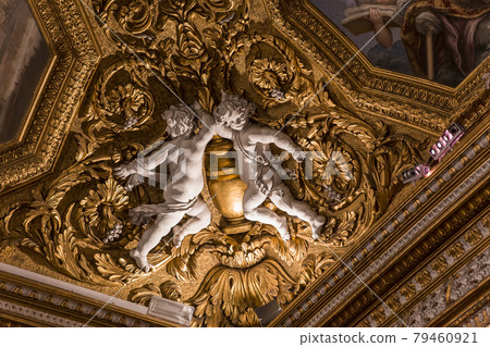 interiors of Palazzo Pitti, Florence, Italy interiors of Palazzo Pitti, Florence, Italy 79460921