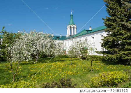 Flowering trees in the Spaso-Yakovlevsky Monastery in the city of Rostov, Yaroslavl region. 79461515