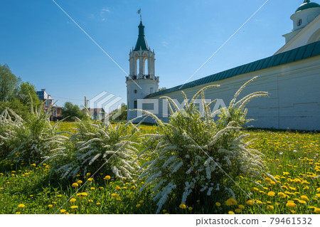 High stone walls of the Spaso-Yakovlevsky monastery in the city of Rostov, Yaroslavl region. 79461532