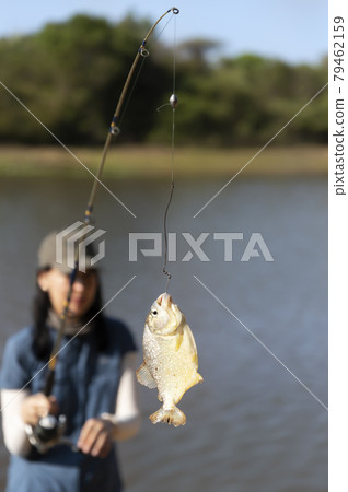 Piranha fishing in South Pantanal, Brazil 79462159