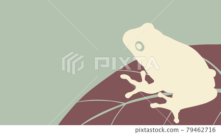 Frog on leaves 79462716