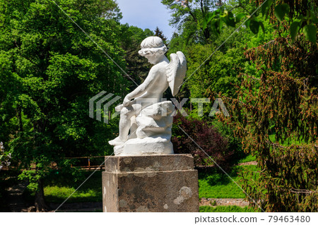 Statue of Cupid in Sofiyivka park in Uman, Ukraine 79463480