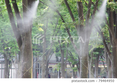 Mistakes and showers that call for coolness 79464950