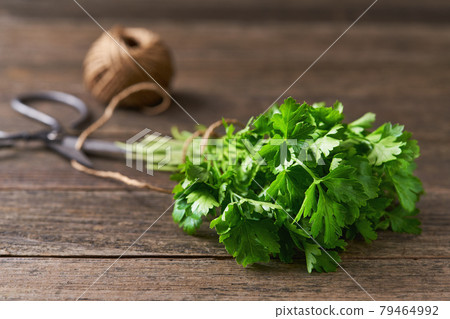 fresh parsley on a wooden table, scissors and rope. Selective focus, rustic style. 79464992