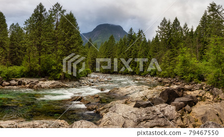 Panoramic View of the river in the Canadian Mountain Landscape 79467550