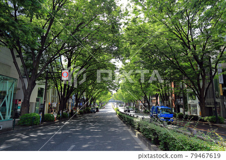 Cityscape of Shibuya Ward, Tokyo Omotesando 79467619