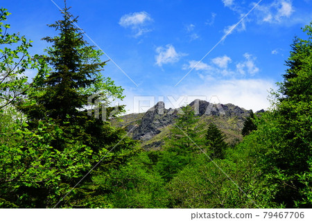 Yatsugatake Yokodake seen from the Kitazawa course 79467706