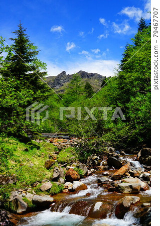 Yatsugatake Yokodake seen from the Kitazawa course 79467707