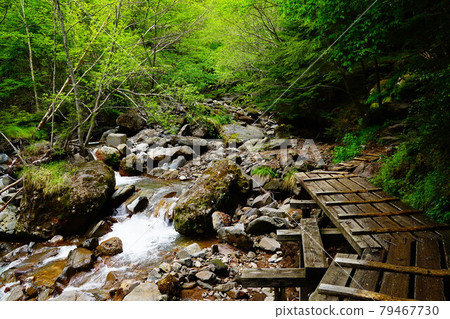 Yatsugatake Akadake mountain climbing Kitazawa course mountain trail 79467730