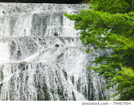 日本三大名瀑 袋田瀑布(茨城縣久治郡大悟町袋田) 初夏 日本三大名瀑 袋田瀑布(茨城縣久治郡大悟町袋田) 初夏 79467904