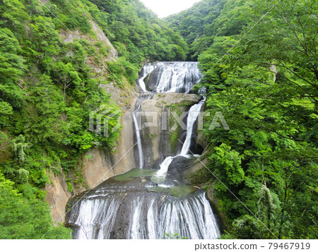 Japan's Three Famous Waterfalls Fukuroda Falls (Fukuroda, Daigo-cho, Kuji-gun, Ibaraki Prefecture) Early summer 79467919