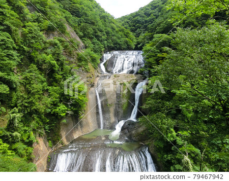 日本三大名瀑 袋田瀑布（茨城縣久治郡大悟町袋田） 初夏 79467942