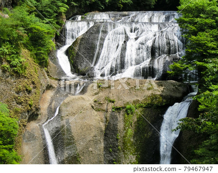 Japan's Three Famous Waterfalls Fukuroda Falls (Fukuroda, Daigo-cho, Kuji-gun, Ibaraki Prefecture) Early summer Japan's Three Famous Waterfalls Fukuroda Falls (Fukuroda, Daigo-cho, Kuji-gun, Ibaraki Prefecture) Early summer 79467947
