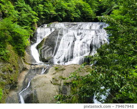 Japan's Three Famous Waterfalls Fukuroda Falls (Fukuroda, Daigo-cho, Kuji-gun, Ibaraki Prefecture) Early summer Japan's Three Famous Waterfalls Fukuroda Falls (Fukuroda, Daigo-cho, Kuji-gun, Ibaraki Prefecture) Early summer 79467948