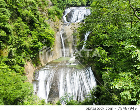 日本三大名瀑 袋田瀑布(茨城縣久治郡大悟町袋田) 初夏 日本三大名瀑 袋田瀑布(茨城縣久治郡大悟町袋田) 初夏 79467949