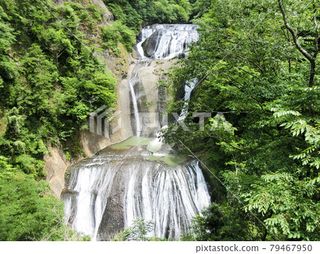 日本三大名瀑 袋田瀑布(茨城縣久治郡大悟町袋田) 初夏 日本三大名瀑 袋田瀑布(茨城縣久治郡大悟町袋田) 初夏 79467950