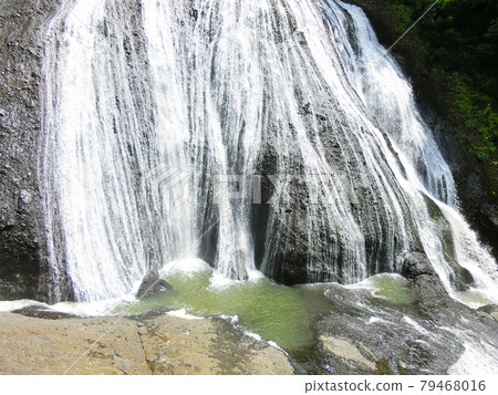 日本三大名瀑 袋田瀑布（茨城縣久治郡大悟町袋田） 初夏 79468016