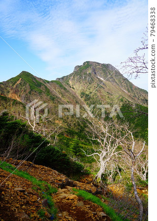 Yatsugatake Amidadake and Nakadake seen from the Jizo ridge 79468338