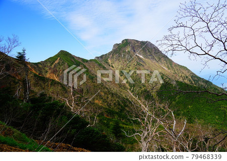 從地藏山脊看到的八岳阿彌陀岳和中岳 從地藏山脊看到的八岳阿彌陀岳和中岳 79468339