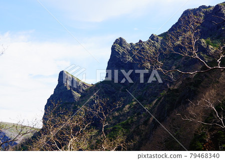 從地藏山脊看到的八岳橫岳 從地藏山脊看到的八岳橫岳 79468340
