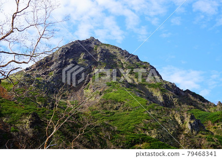 從地藏嶺看到的八岳赤岳 從地藏嶺看到的八岳赤岳 79468341