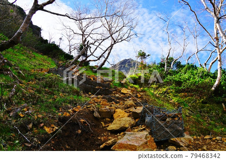 八岳地藏嶺和赤岳的頂端 八岳地藏嶺和赤岳的頂端 79468342