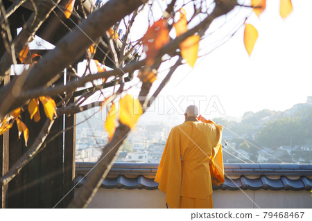 A monk looking at the scenery 79468467
