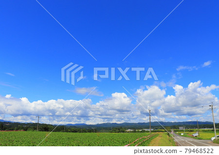 Early summer sky, fields and mountains Early summer sky, fields and mountains 79468522