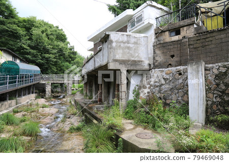 正陵谷、王族祖先、夏天的花、小巷 正陵谷、王族祖先、夏天的花、小巷 79469048
