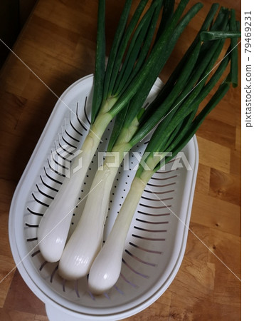 留下洋蔥 留下洋蔥 79469231